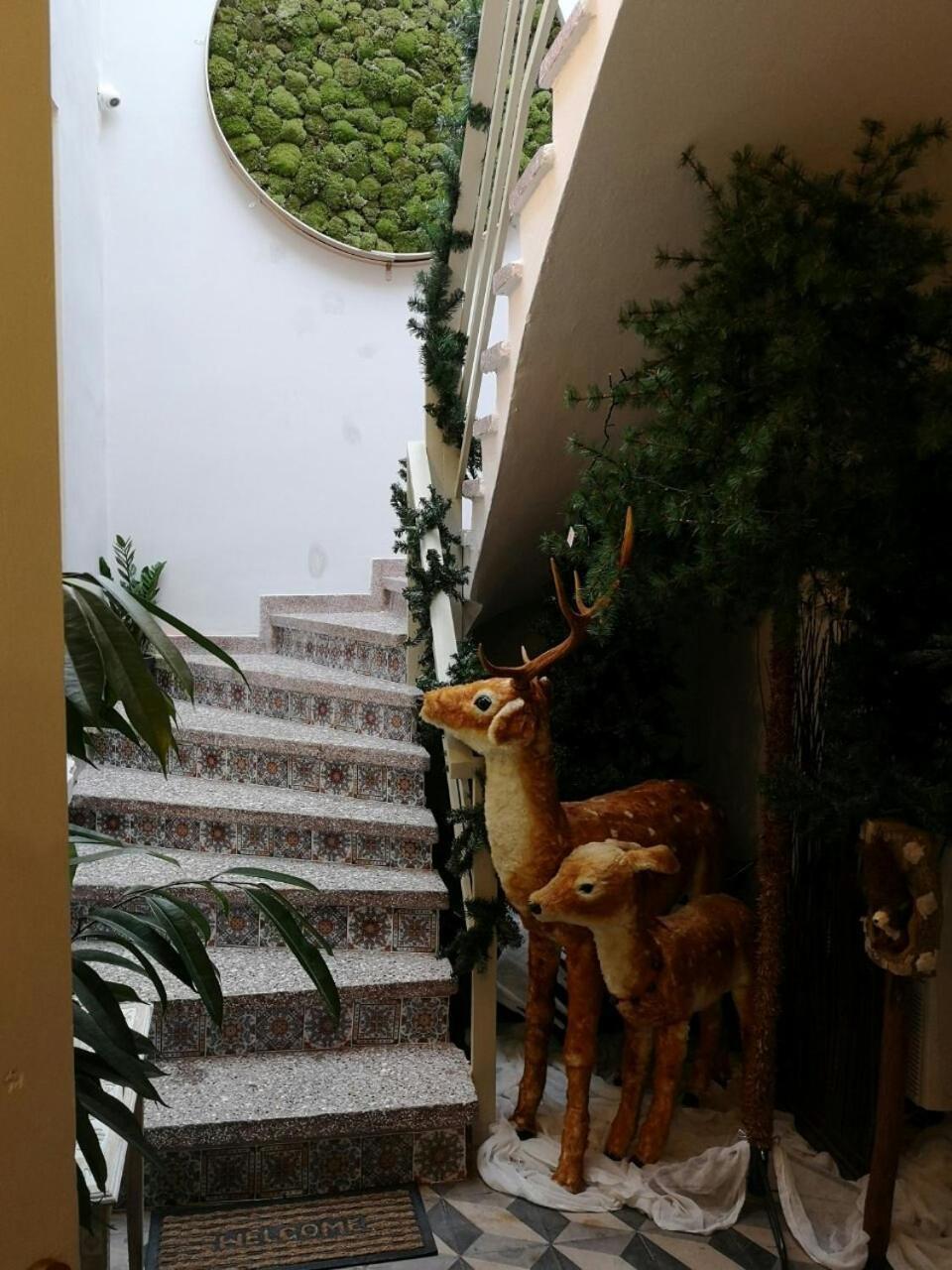 Sali Boutique Hotel 亚历山德鲁波利斯 外观 照片